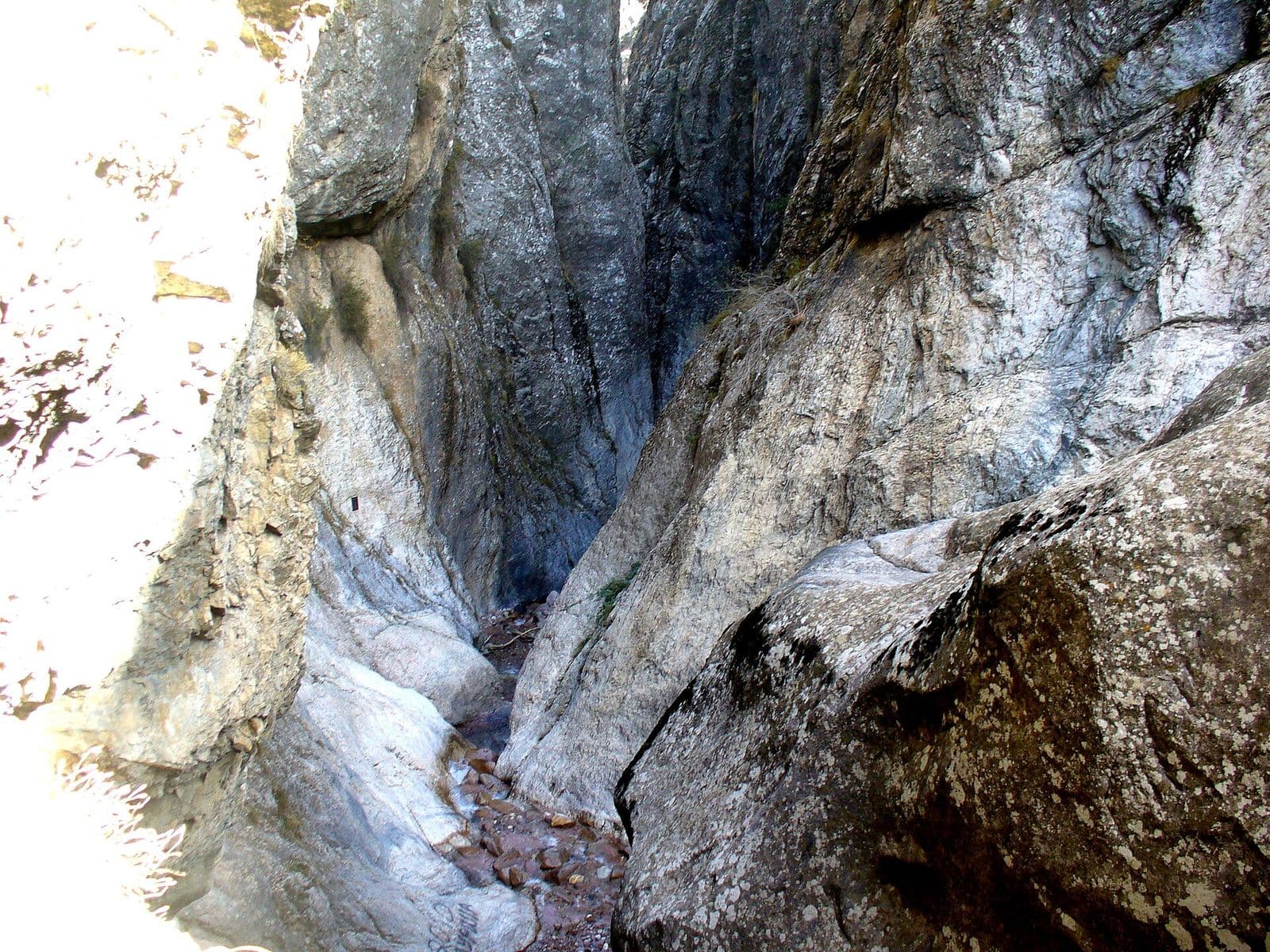Gulkam darasining tor qismi