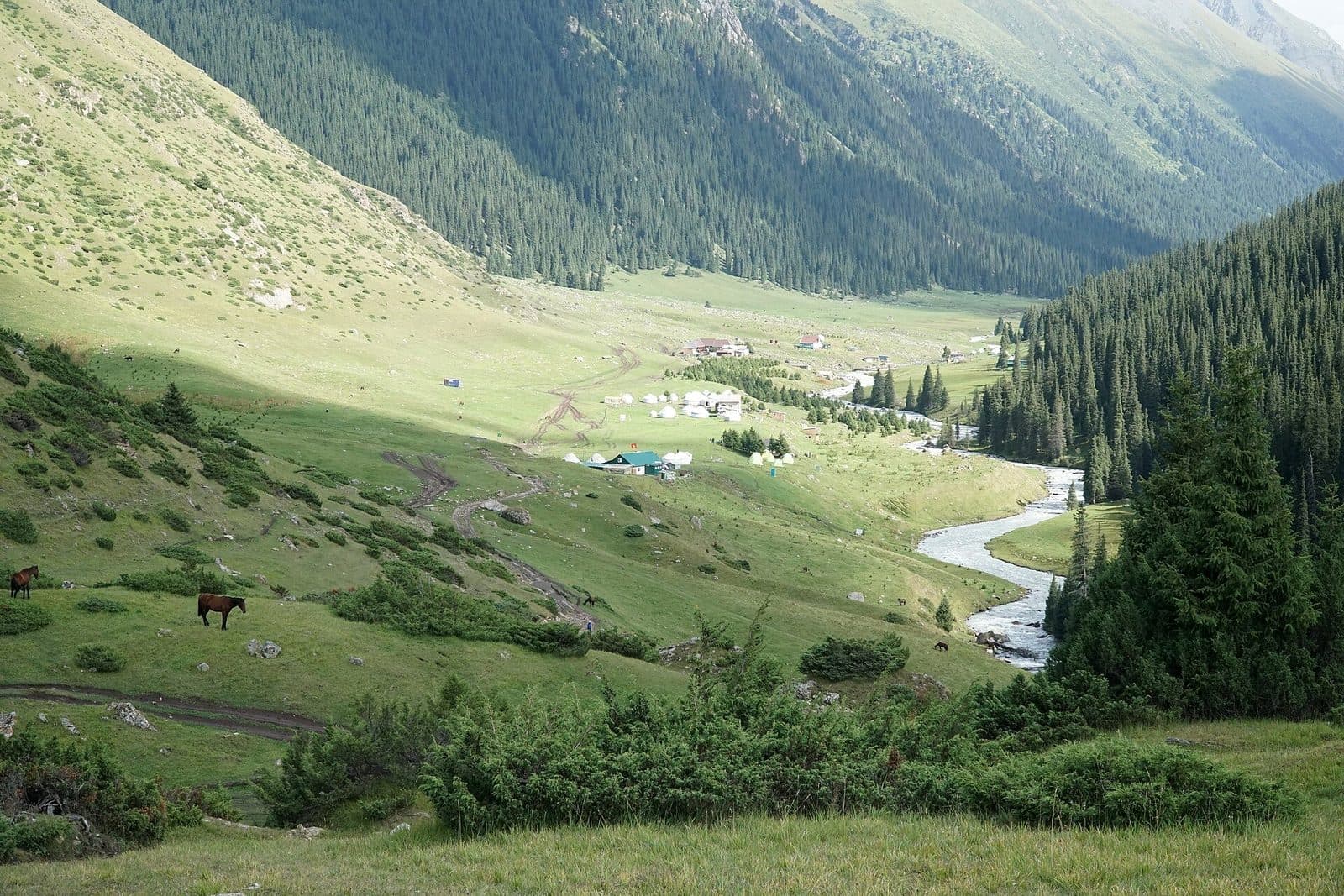Oltin-Arashan vodiysi