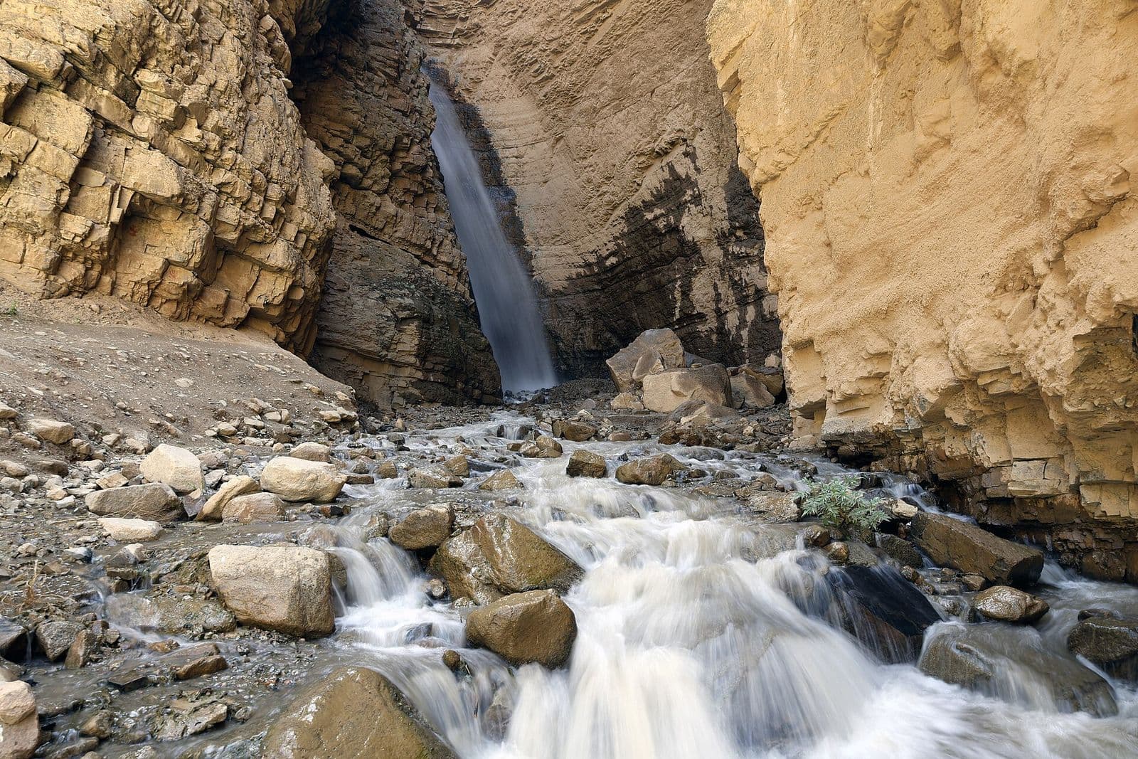 Paltau sharsharasi, avgust